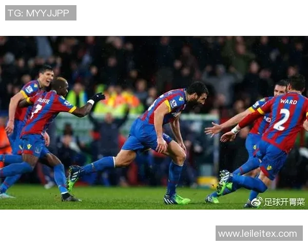 加的夫城与水晶宫激战成平局双方各取一分的精彩对决回顾 加的夫城与水晶宫激战成平局双方各取一分的精彩对决回顾