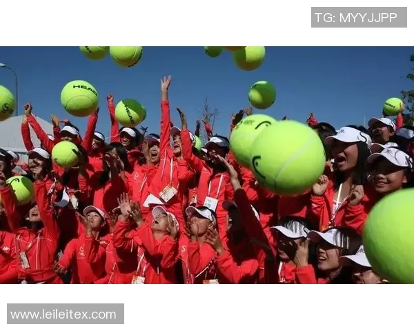 北京排球队的运营策略分析与发展前景探讨 北京排球队的运营策略分析与发展前景探讨