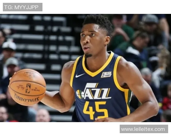 多诺万米切尔：从新秀到全明星的成长之路与篮球传奇