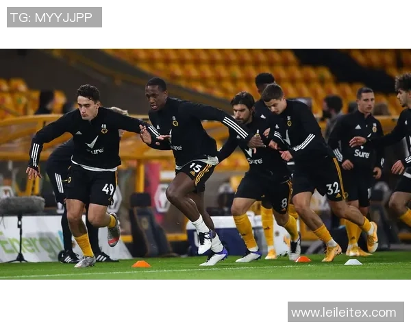 布伦特福德与诺维奇城对决前瞻分析及赛季走势预测 布伦特福德与诺维奇城对决前瞻分析及赛季走势预测