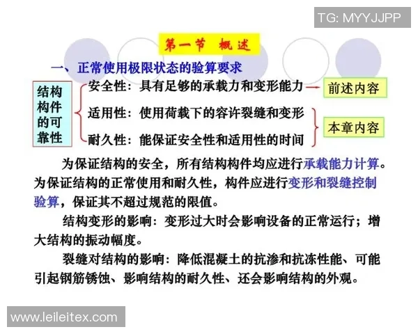 极限运动新手必看：全面掌握状态入门技巧与注意事项