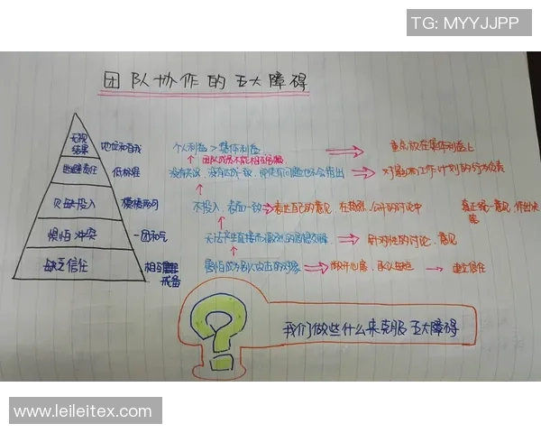 北京足球队团队协作的创新与变革探讨热议足球的未来发展方向